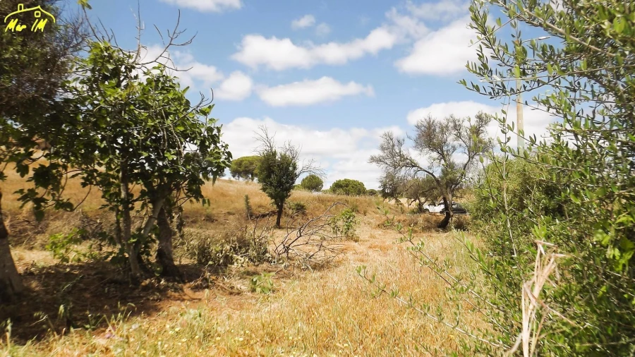 Terreno Agricola ou Rústico para Venda em Vila Real de Santo Antonio Foto 12