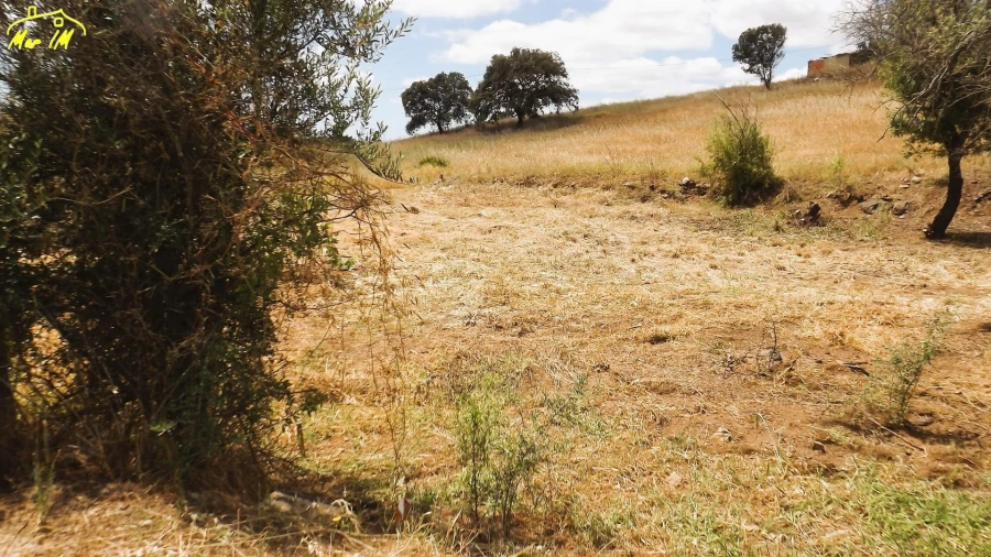 Terreno Agricola ou Rústico para Venda em Vila Real de Santo Antonio Foto 19