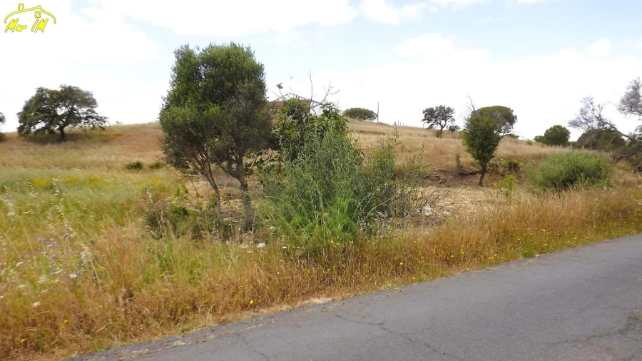 Terreno Agricola ou Rústico para Venda em Vila Real de Santo Antonio Foto 23