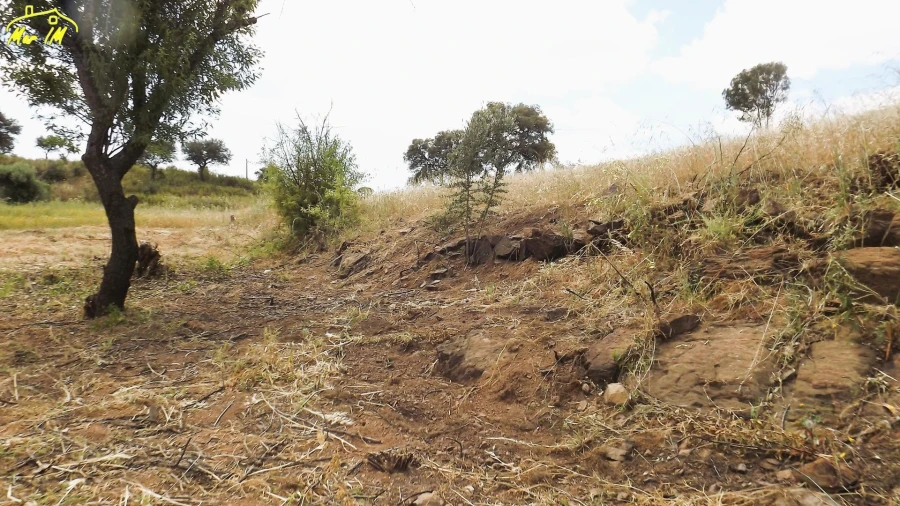 Terreno Agricola ou Rústico para Venda em Vila Real de Santo Antonio Foto 3