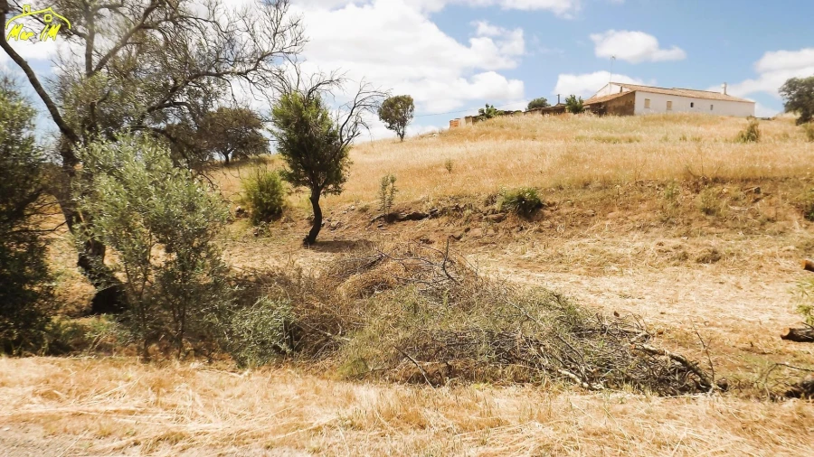 Terreno Agricola ou Rústico para Venda em Vila Real de Santo Antonio Foto 32