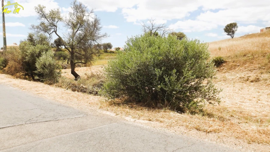Terreno Agricola ou Rústico para Venda em Vila Real de Santo Antonio Foto 33