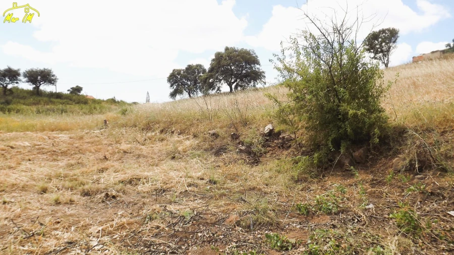 Terreno Agricola ou Rústico para Venda em Vila Real de Santo Antonio Foto 5