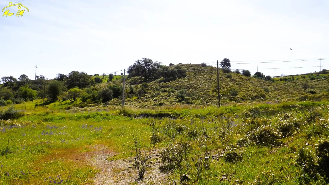 Terreno Agricola ou Rústico para Venda em Castro Marim Foto 12