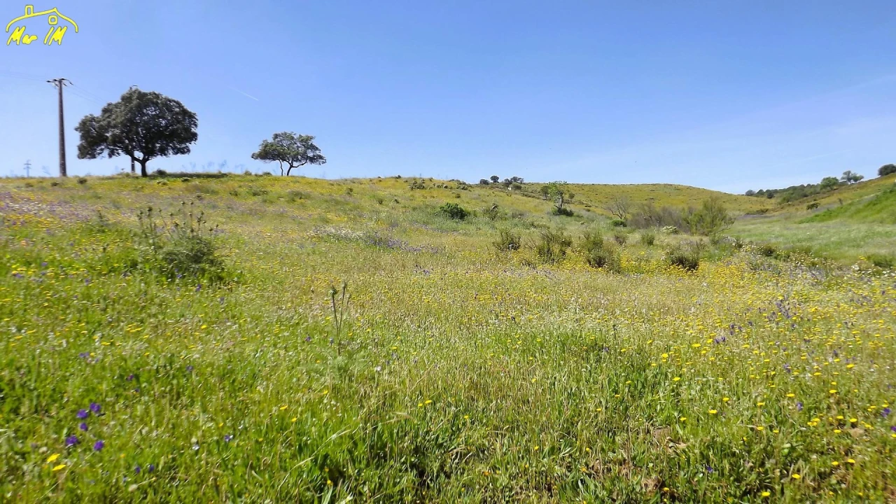 Terreno Agricola ou Rústico para Venda em Castro Marim Foto 13