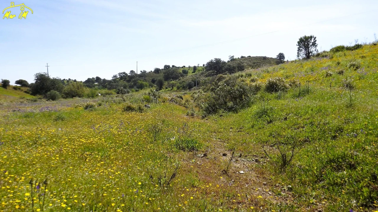 Terreno Agricola ou Rústico para Venda em Castro Marim Foto 14