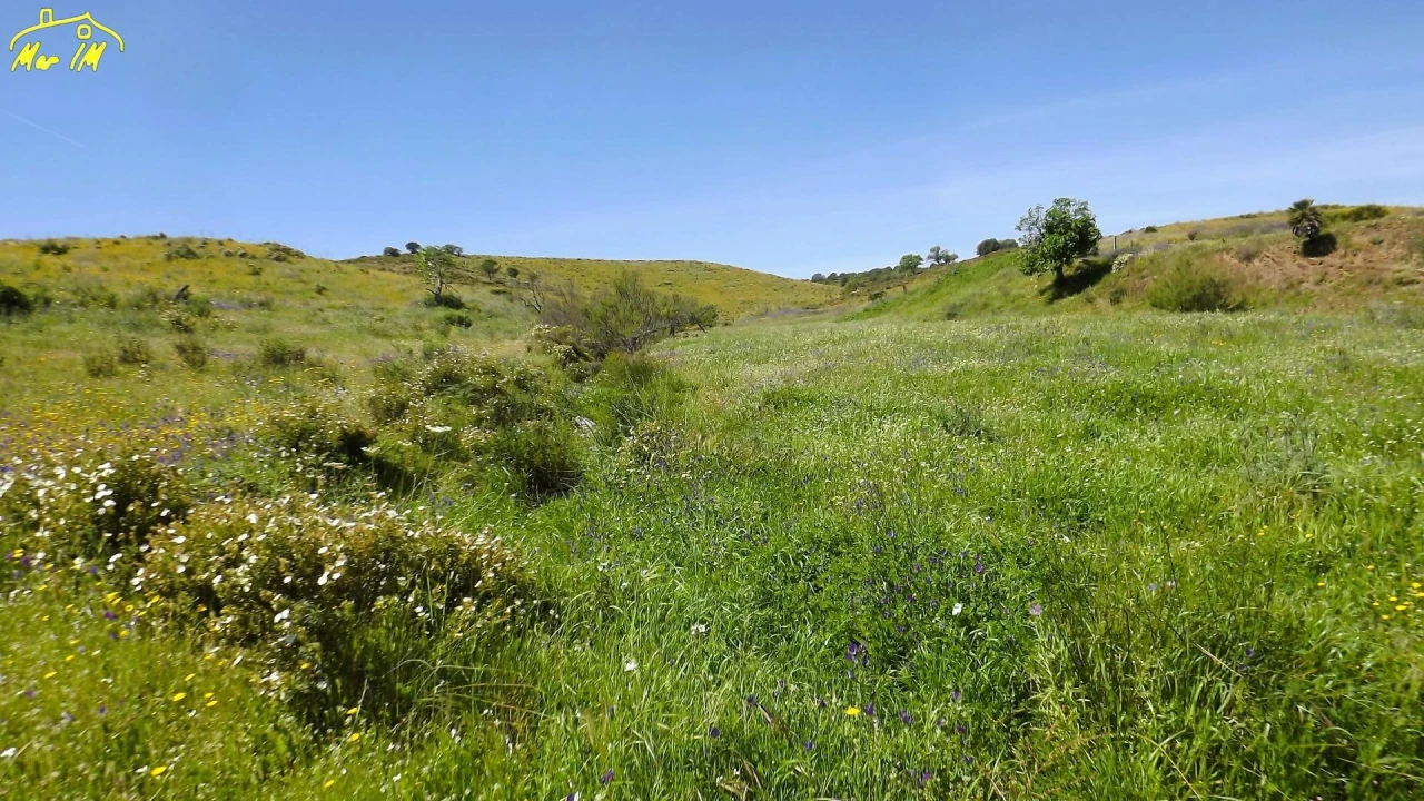 Terreno Agricola ou Rústico para Venda em Castro Marim Foto 16