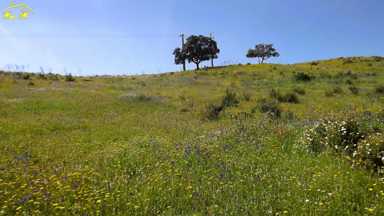 Terreno Agricola ou Rústico para Venda em Castro Marim Foto 17