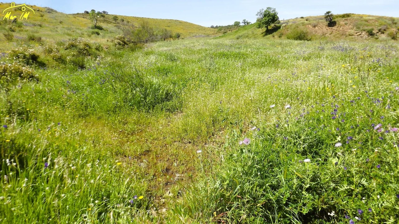 Terreno Agricola ou Rústico para Venda em Castro Marim Foto 24