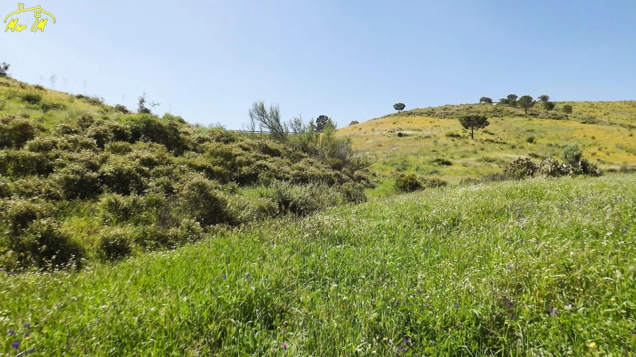 Terreno Agricola ou Rústico para Venda em Castro Marim Foto 25