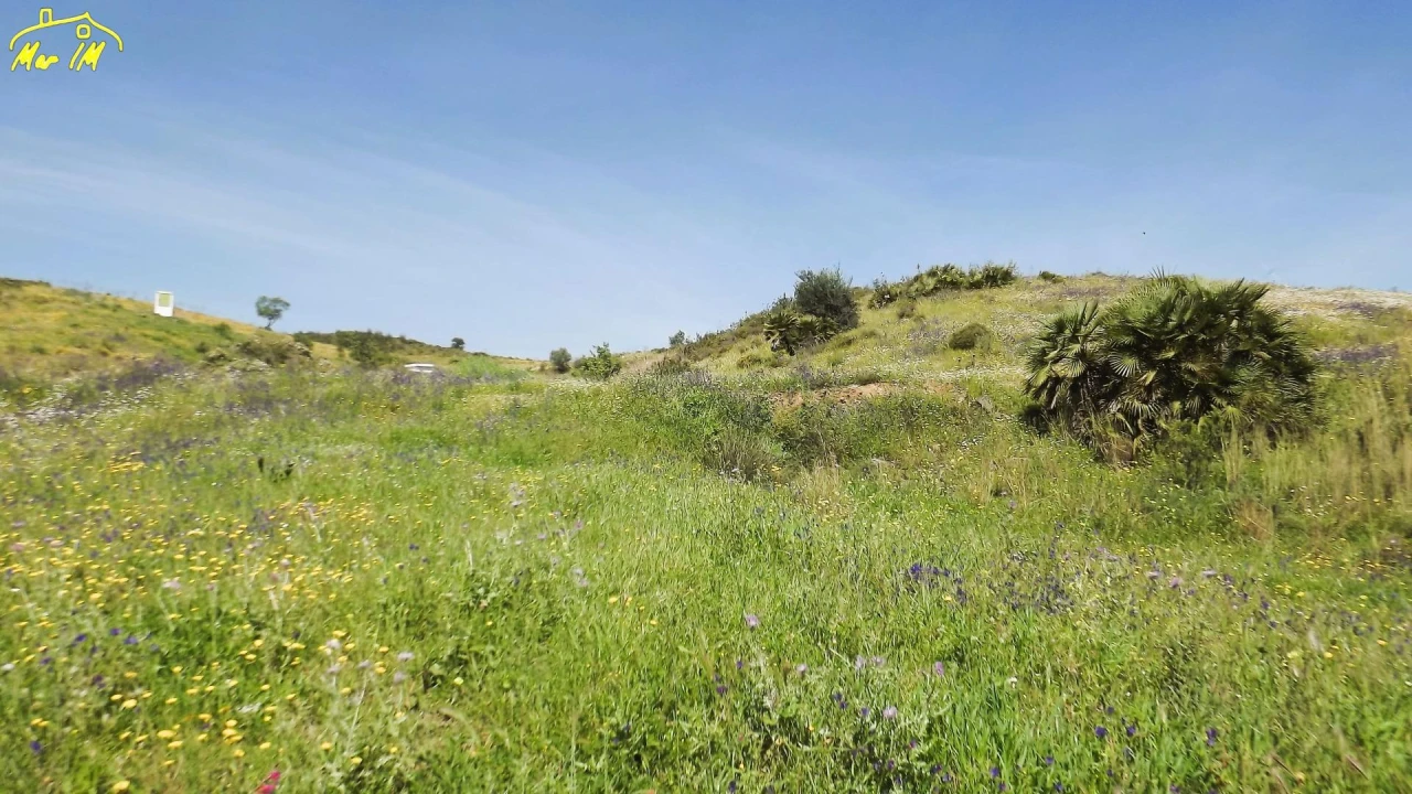 Terreno Agricola ou Rústico para Venda em Castro Marim Foto 28