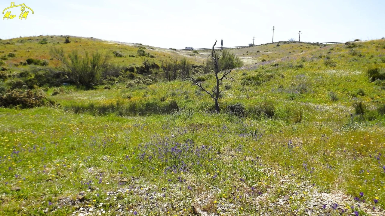 Terreno Agricola ou Rústico para Venda em Castro Marim Foto 29