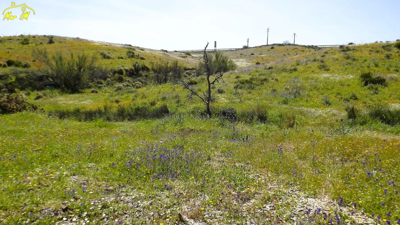 Terreno Agricola ou Rústico para Venda em Castro Marim Foto 31