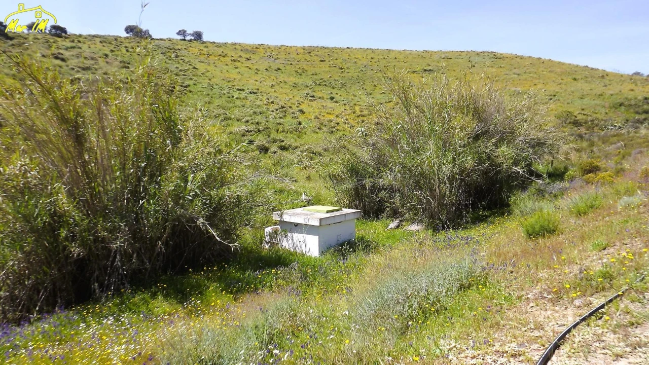 Terreno Agricola ou Rústico para Venda em Castro Marim Foto 34
