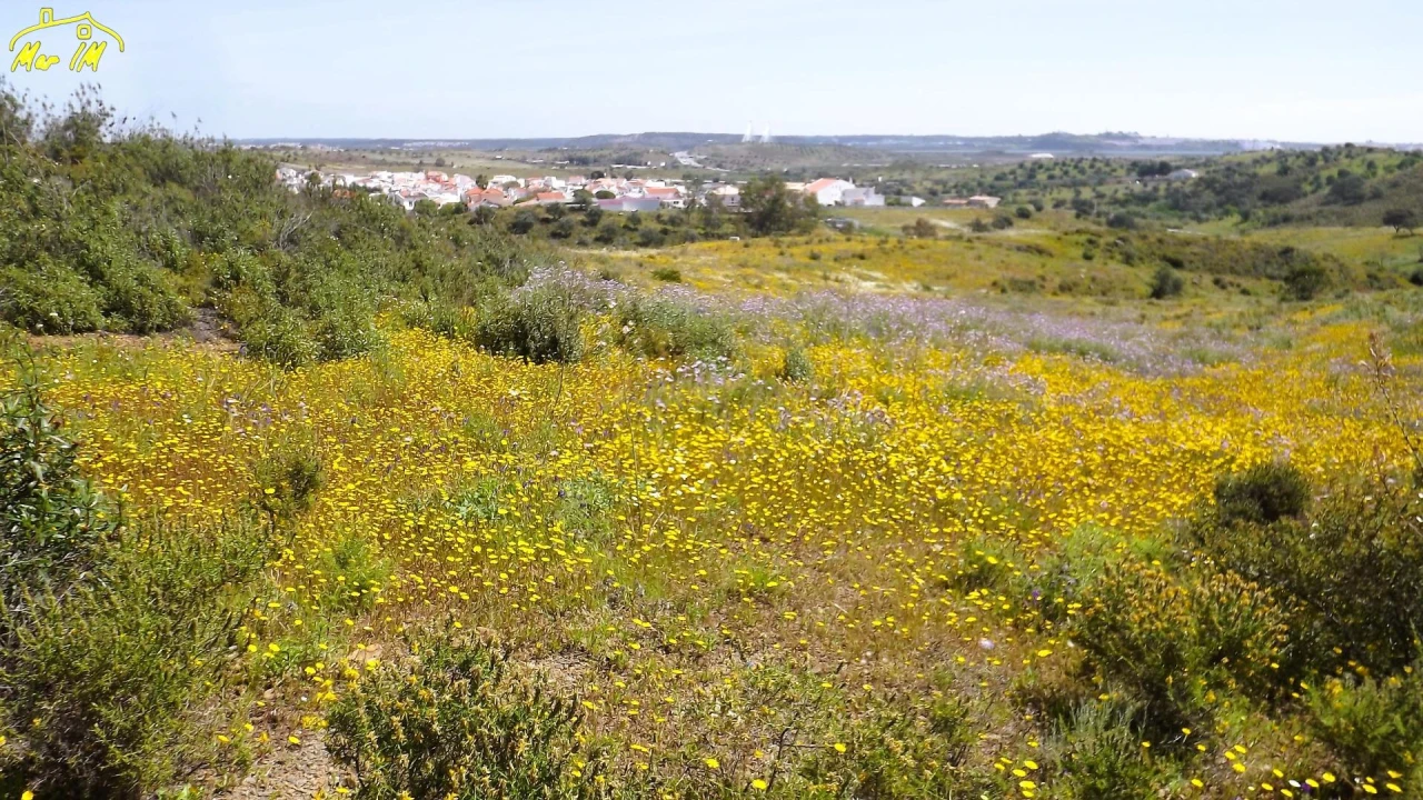 Terreno Agricola ou Rústico para Venda em Castro Marim Foto 37