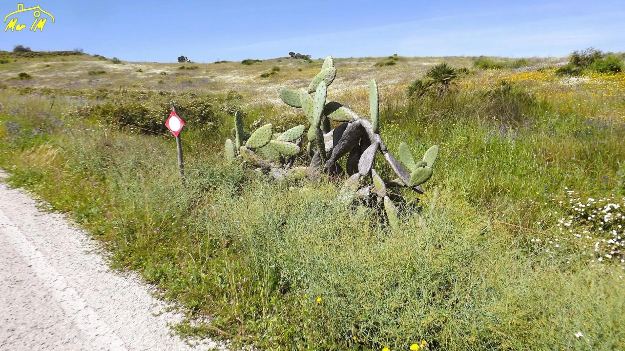 Terreno Agricola ou Rústico para Venda em Castro Marim Foto 6