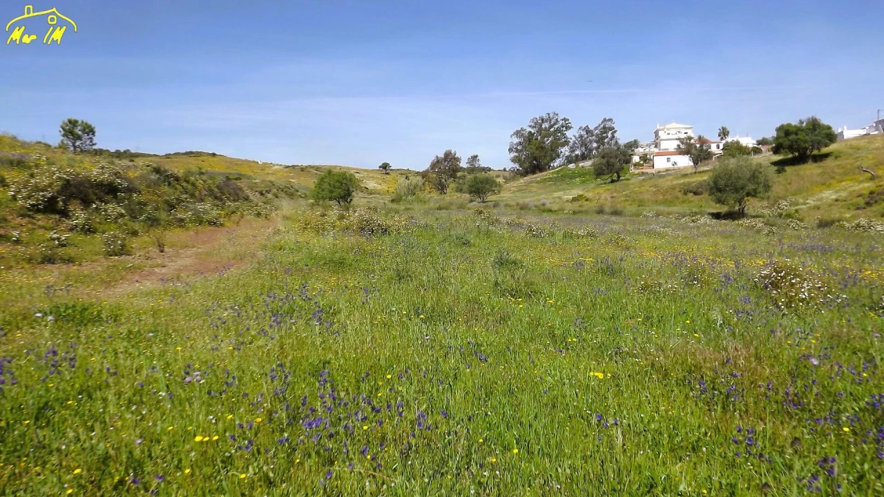 Terreno Agricola ou Rústico para Venda em Castro Marim Foto 9