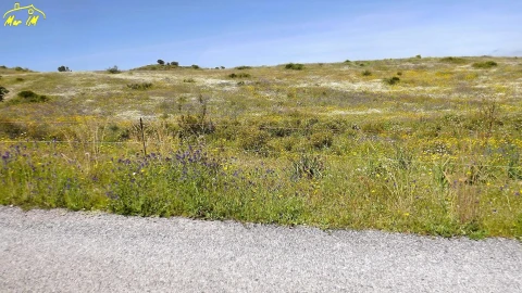 Terreno Agricola ou Rústico para Venda em Castro Marim