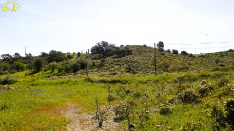 Terreno Agricola ou Rústico para Venda em Castro Marim