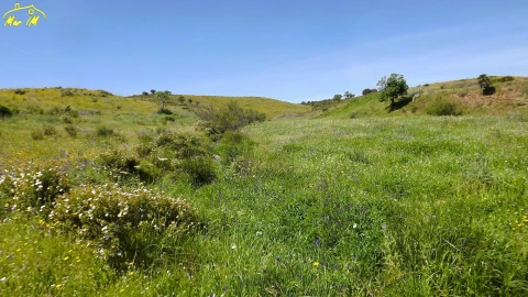 Terreno Agricola ou Rústico para Venda em Castro Marim