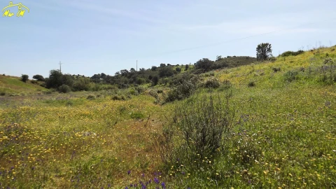 Terreno Agricola ou Rústico para Venda em Castro Marim