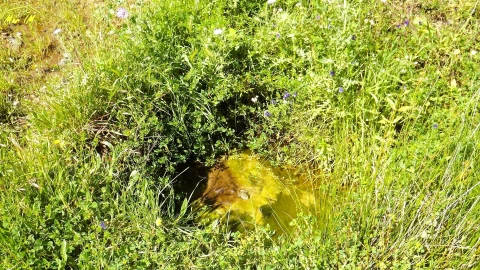 Terreno Agricola ou Rústico para Venda em Castro Marim