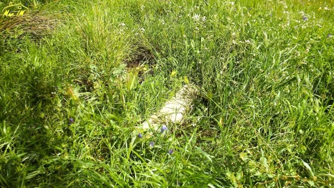 Terreno Agricola ou Rústico para Venda em Castro Marim