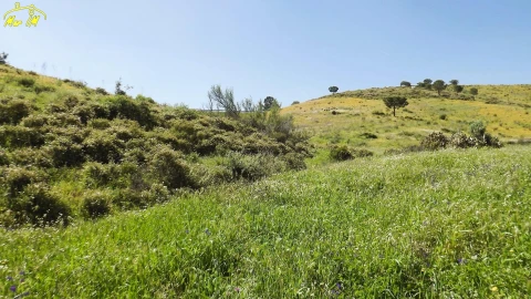 Terreno Agricola ou Rústico para Venda em Castro Marim