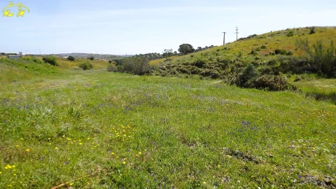 Terreno Agricola ou Rústico para Venda em Castro Marim