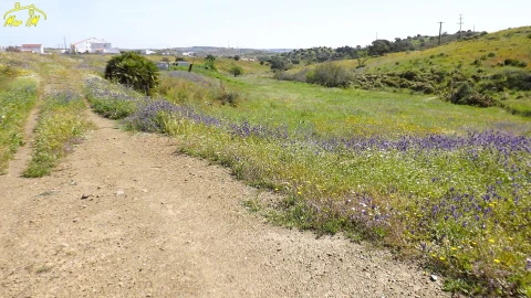 Terreno Agricola ou Rústico para Venda em Castro Marim