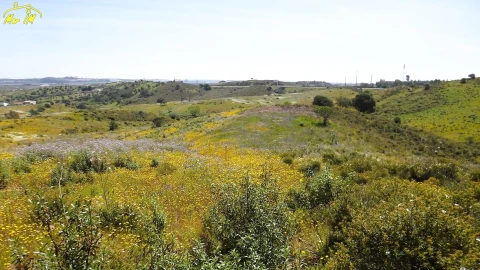 Terreno Agricola ou Rústico para Venda em Castro Marim
