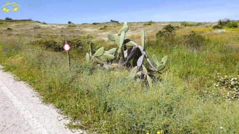 Terreno Agricola ou Rústico para Venda em Castro Marim