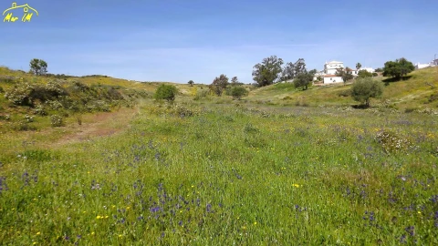 Terreno Agricola ou Rústico para Venda em Castro Marim