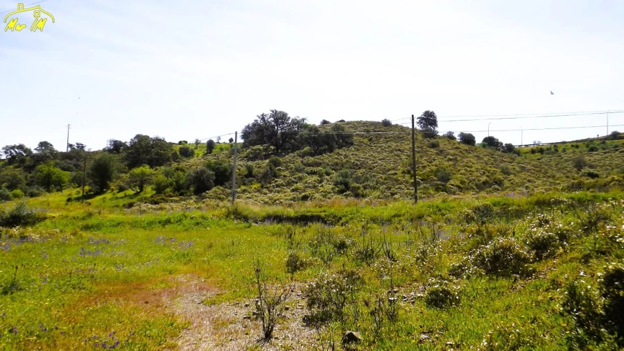 Terreno Agricola ou Rústico para Venda em Castro Marim Foto 12