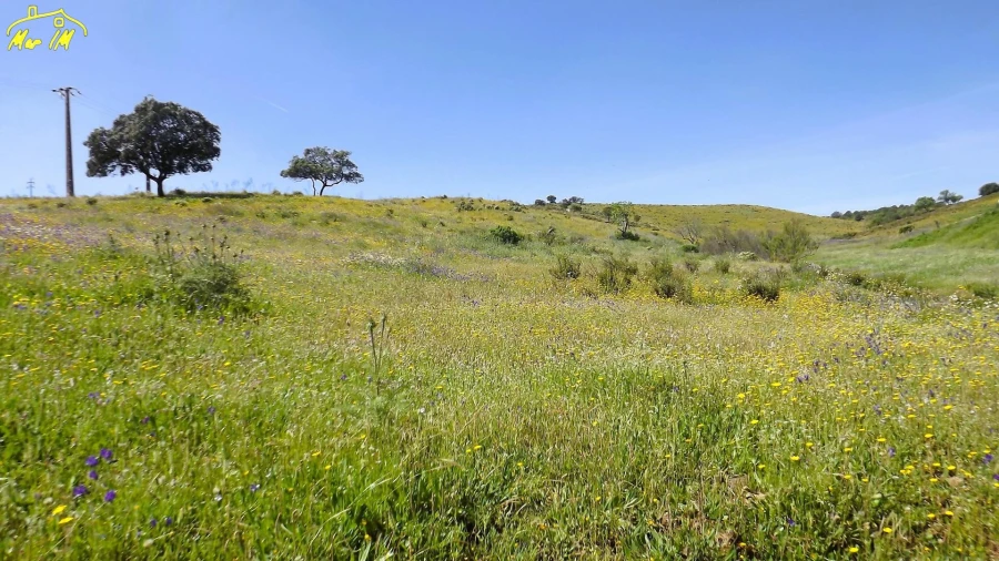 Terreno Agricola ou Rústico para Venda em Castro Marim Foto 13
