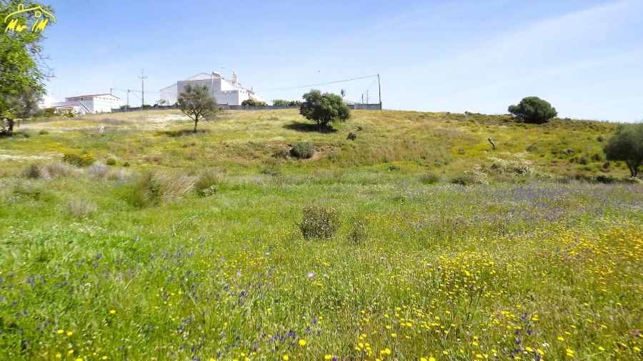 Terreno Agricola ou Rústico para Venda em Castro Marim Foto 15