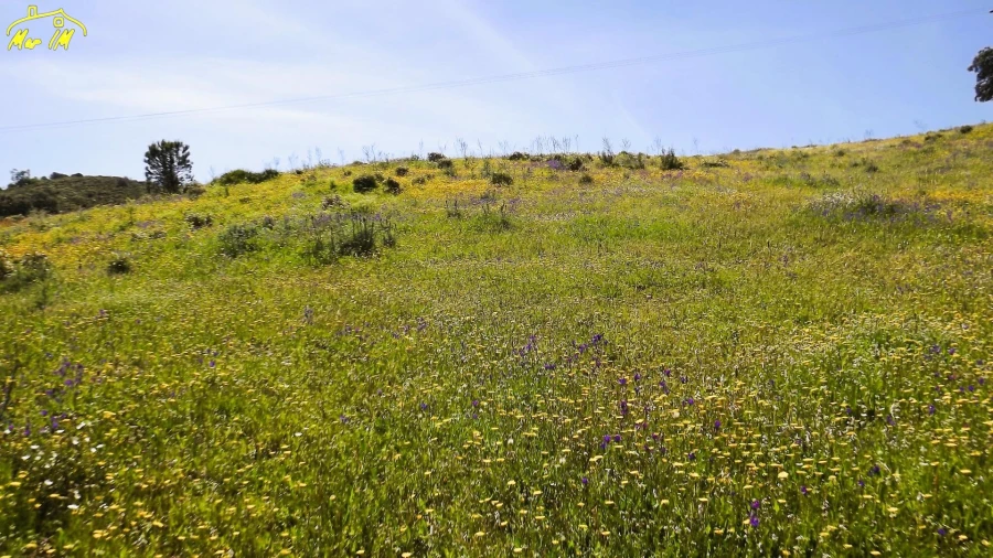 Terreno Agricola ou Rústico para Venda em Castro Marim Foto 18