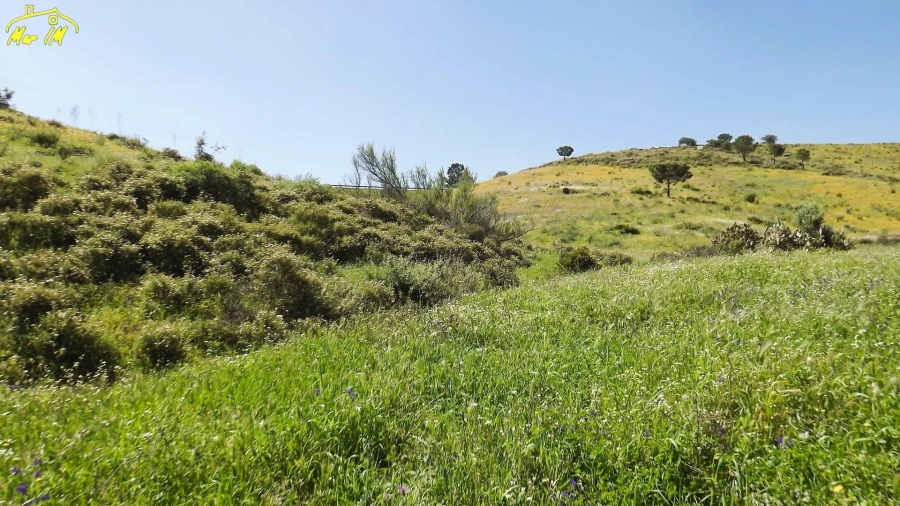 Terreno Agricola ou Rústico para Venda em Castro Marim Foto 25
