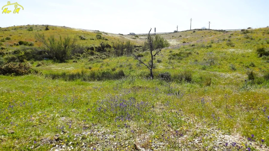 Terreno Agricola ou Rústico para Venda em Castro Marim Foto 29