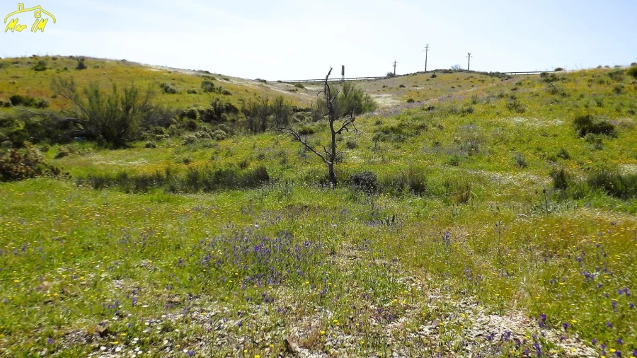 Terreno Agricola ou Rústico para Venda em Castro Marim Foto 31