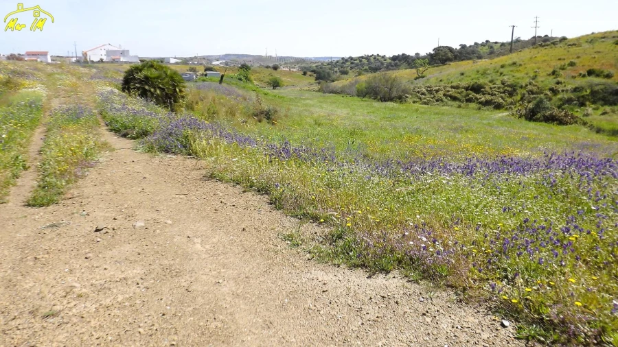 Terreno Agricola ou Rústico para Venda em Castro Marim Foto 32