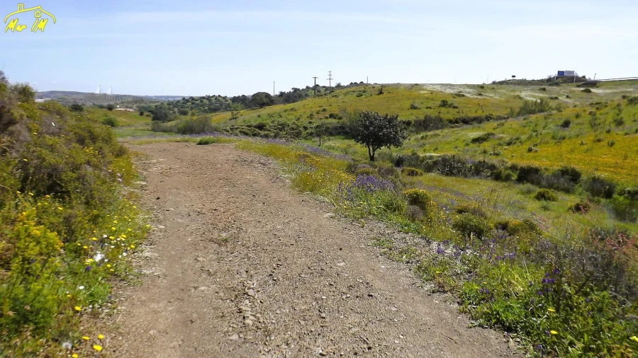 Terreno Agricola ou Rústico para Venda em Castro Marim Foto 33