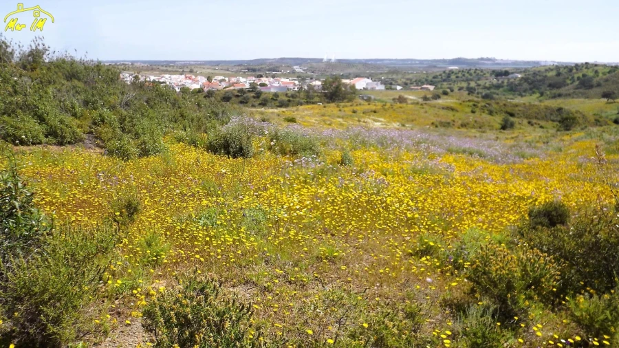 Terreno Agricola ou Rústico para Venda em Castro Marim Foto 37
