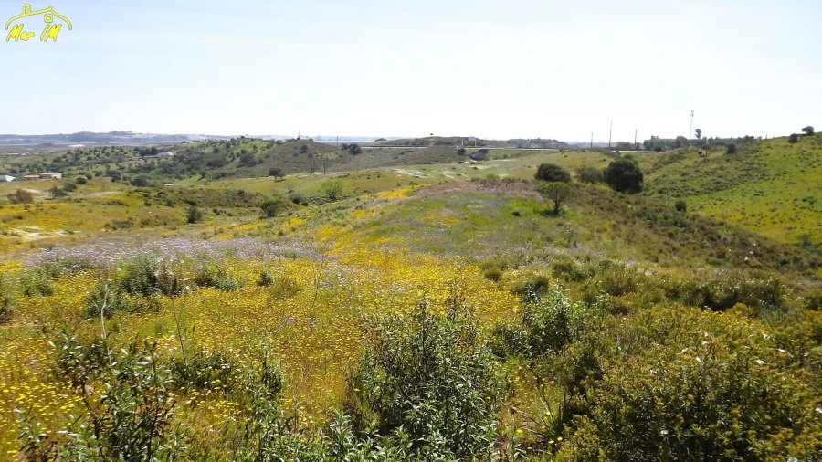 Terreno Agricola ou Rústico para Venda em Castro Marim Foto 38