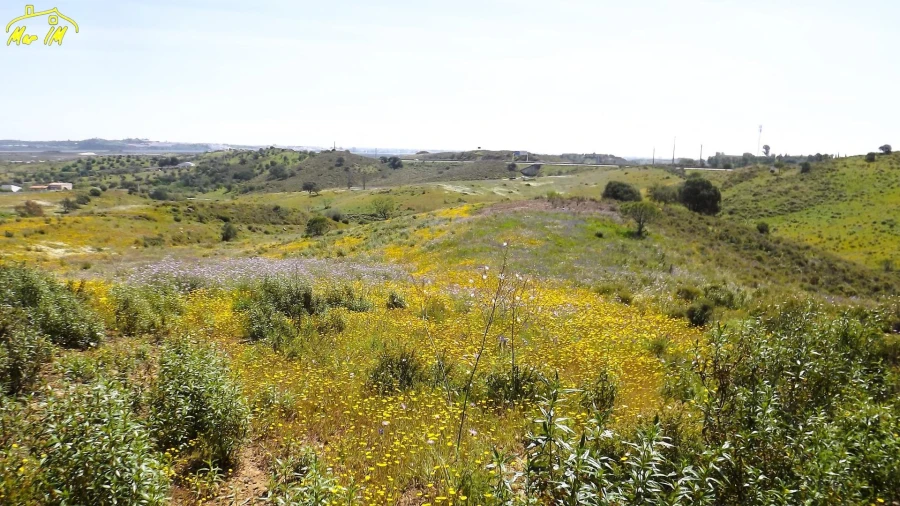 Terreno Agricola ou Rústico para Venda em Castro Marim Foto 39