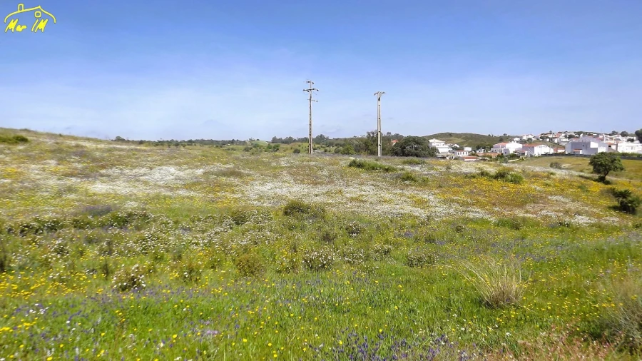 Terreno Agricola ou Rústico para Venda em Castro Marim Foto 4