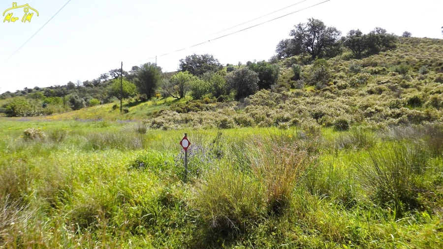 Terreno Agricola ou Rústico para Venda em Castro Marim Foto 7