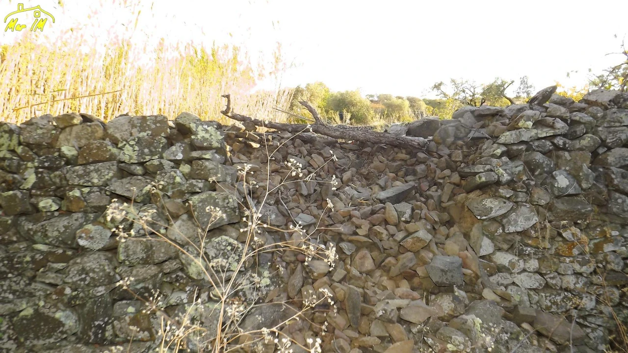 Terreno Agricola ou Rústico para Venda em Castro Marim Foto 12