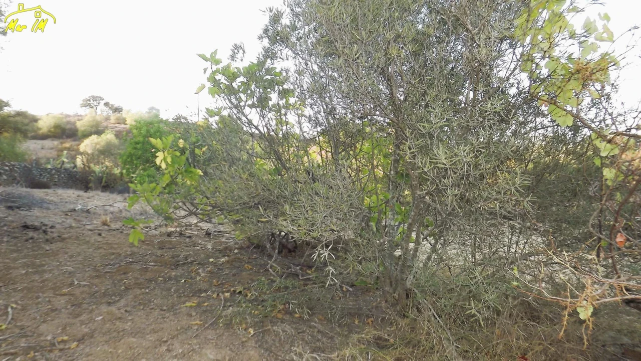 Terreno Agricola ou Rústico para Venda em Castro Marim Foto 21