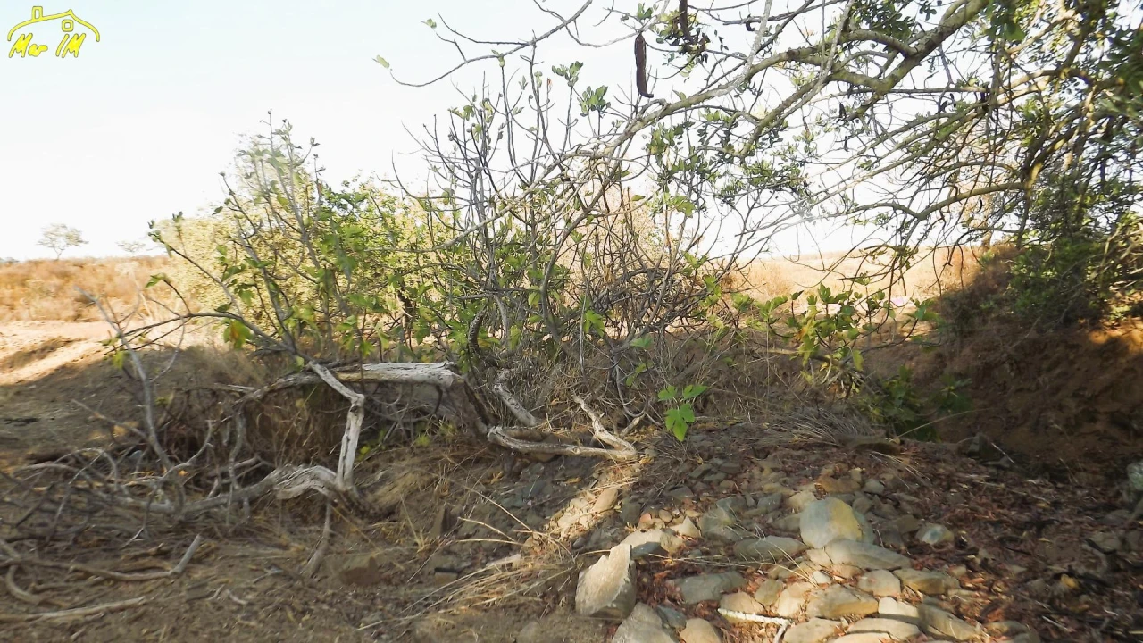 Terreno Agricola ou Rústico para Venda em Castro Marim Foto 4